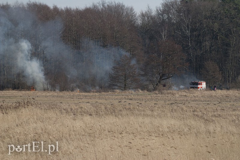 Płonęły trawy w Kadynach