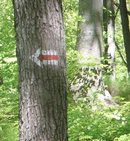 Szlak Kopernikowski