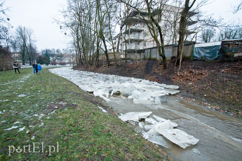 Kra zatrzymała Kumielę