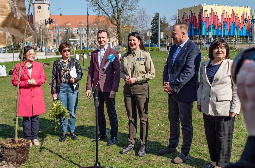 Bukowy skwer za pomnikiem
