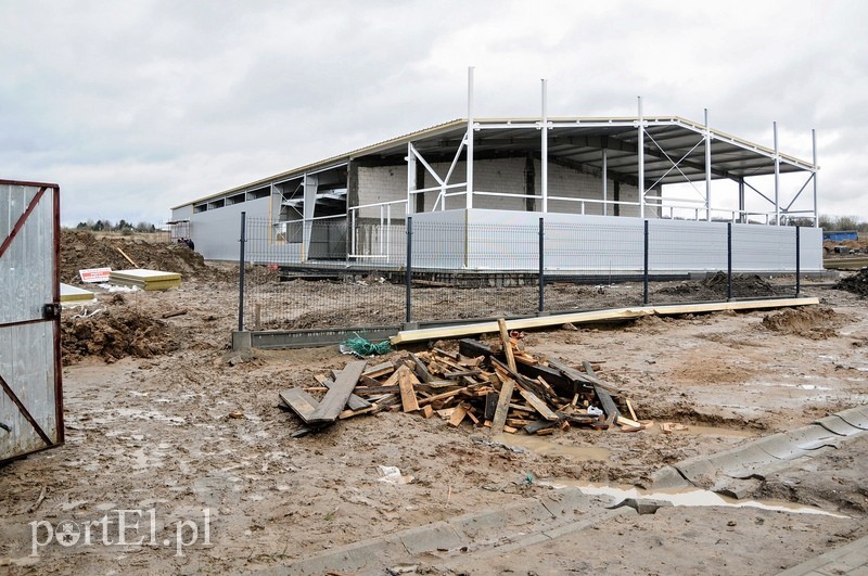 Budowa nowych hal na Modrzewinie