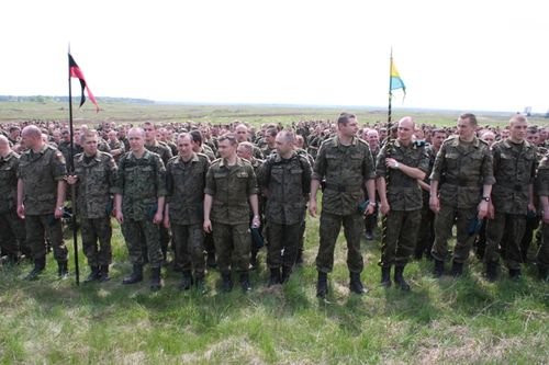 Dzik na orzyskim poligonie