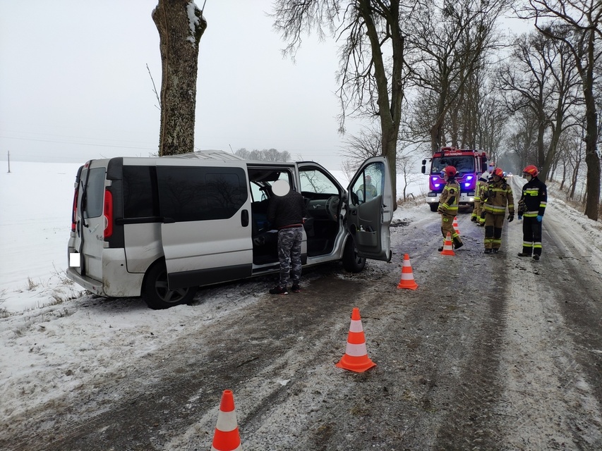 Bus uderzył w drzewo 