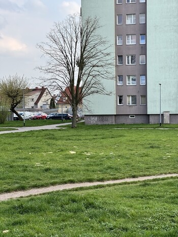 >Mieszkaniec Malborskiej: Tu potrzebna jest interwencja