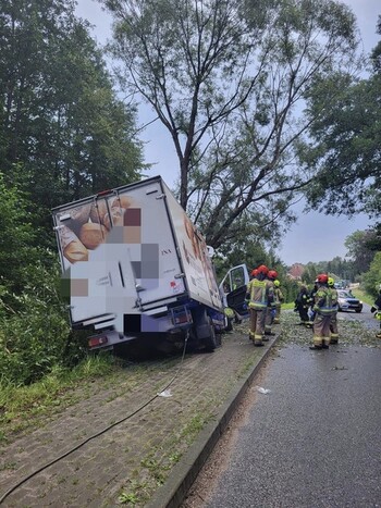 >Uderzył dostawczakiem w drzewo