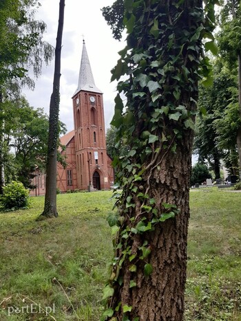 >Wycieczka rowerowa - śluza Michałowo