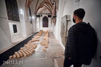 >W galerii wyrosły ogrody i warto je odwiedzić