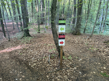 >Rowerem na elbląski Bikepark