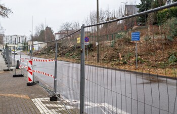 >Były drzewa i krzewy, będzie fotowoltaika