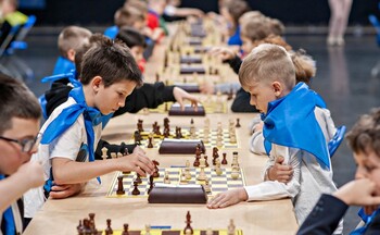 >https://www.portel.pl/sport/mlodzi-szachisci-opanowali-hale/149385