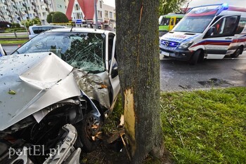 >Ford uderzył w drzewo na ul. Płk. Dąbka