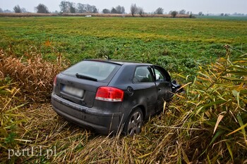 >Kobieta kierująca audi uderzyła w drzewo