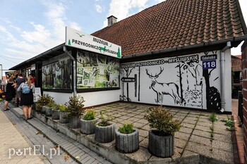 >Krynica dla tych, którzy lubią tłumy