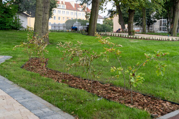 >Park Planty prawie gotowy po modernizacji
