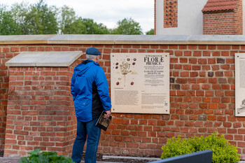 >Zanurkować w muzeum