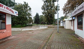 >Więcej zieleni koło czołgu