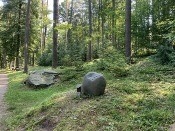 >Leśne Arboretum Warmii i Mazur