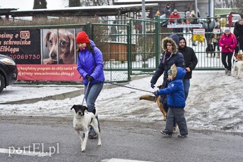 >Zimowy spacer na sześć łap