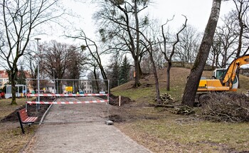 >Coraz więcej zmian w parku Planty