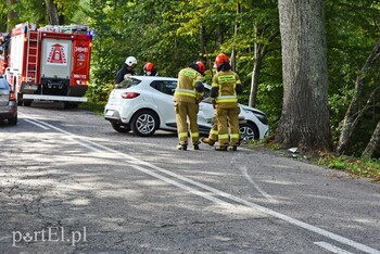 >Uderzył w drzewo, bo zapalał papierosa