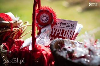 >Pony Cup. Sezon trzeci