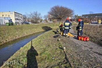 >Pijany mężczyzna wpadł do Kumieli