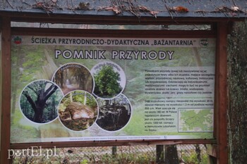 >Spacerem po Parku Krajobrazowym Wysoczyzny Elbląskiej