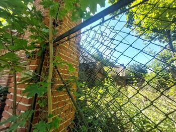 >Ponary (Letnie przystAnki odc. 8)