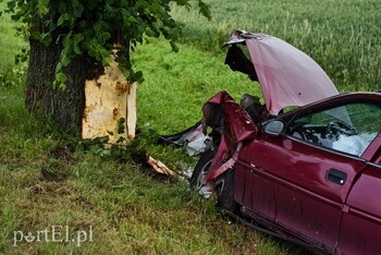 >Opel uderzył w drzewo