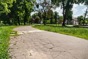 >Miejskie parki czekają zmiany