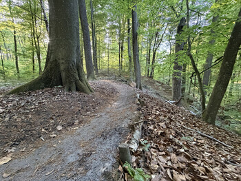 >Rowerem na elbląski Bikepark