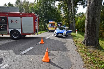 >Kierująca renault uderzyła w drzewo