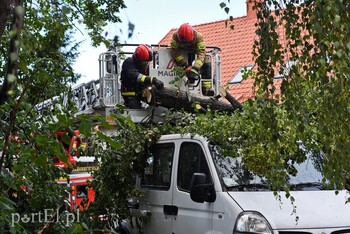 >Wichura powaliła drzewo na nissana